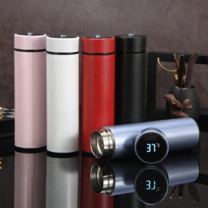 Smart Temperature Display Water Bottle