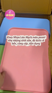 Khay nhựa lúa mạch chữ nhật ST GROUP màu pastel tươi sáng phong cách vintage Bắc Âu Mâm cơm gia đình quán ăn Đĩa nhựa decor trang trí chụp ảnh