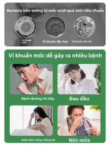 Xịt Loại Bỏ & Ngăn Ngừa Nấm Mốc cho Tường