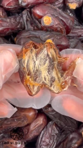 premium RABBI dates kurma RABBI
