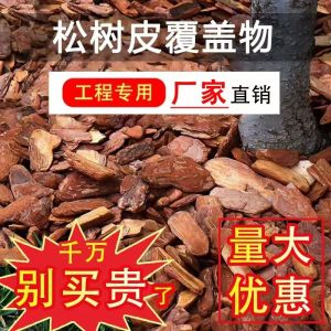 Vỏ Cây Lót Mặt Đất Vỏ Cây Thông Phân Hủy Nấm Mốc Vỏ Cây Phủ Vườn Hố Cây Vỏ Cây Hữu Cơ