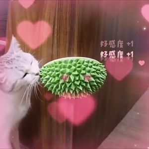 Self Groomer Brush with Catnip / Cat Comb - Durian / Catit (Random Pick)