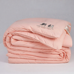 NAIYOUCHENG | Warm Thick Cotton Quilt Single Student Dormitory