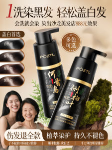 Pure Plant Natural Side Hair Dye One Wash Black Hair Dyeing Cream Cover White Hairs No Natural Black Hair Colorant