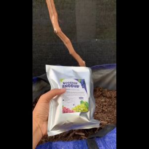 Pupuk Booster Anggur Cepat Berbuah AB Mix Anggur 250Gr 100 Liter PG BGR