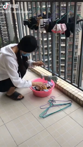 Multifunctional Stainless Steel Clothes Drying Rack with Adjustable Clips for Balcony and Window Use