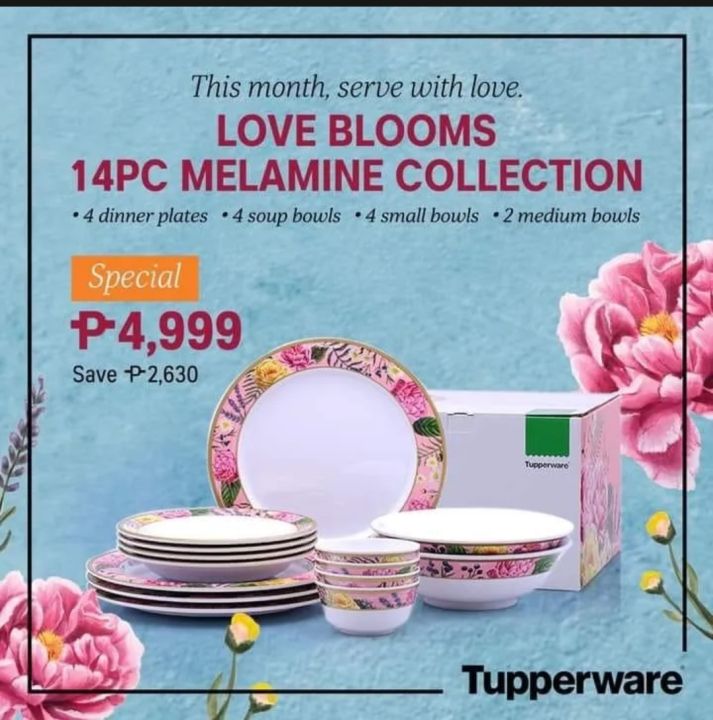 Tupperware dinner plates sale