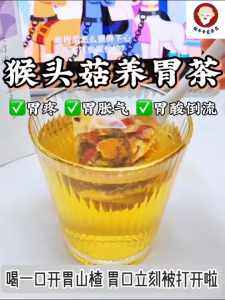 桂爷爷【猴头菇养胃茶】🌳（肠胃不好，容易胃胀气/痛/多风，容易便秘/腹泻）