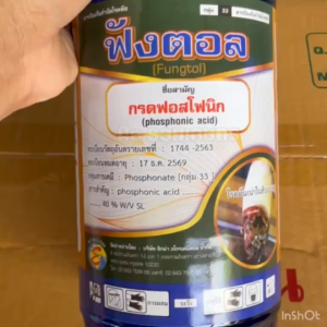 กรดฟอสโฟนิก 40% กรดฟอสโฟนิค ฟังตอล (เนื้อออสเตรีย) สารกำจัดโรคพืช ไฟทอปธอร่า รากเน่า โคนเน่า ผลเน่า ดอกเน่า ยอดเน่า ใบไหม้ ขอบใบแห้ง 1 ลิตร