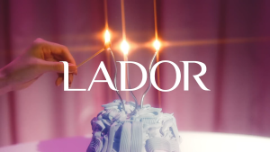 Lador Damaged Protector Acid Conditioner 900ml