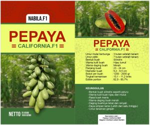 BIBIT PEPAYA CALIFORNIA NABILA.F1 20GR