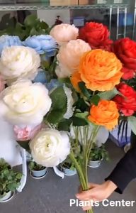 Plants Center พร้อมส่ง P015 ดอกไม้ปลอม ดอกไม้ผ้า ดอกกุหลาบ ดอกกุหลาบผ้า งานดอกไม้ผ้าไหม