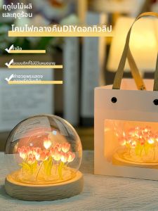 Graduation Gift 3D Tulip Crystal Globe Night Light DIY Kit