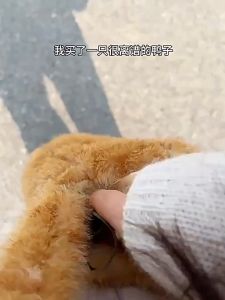 Móc Khóa Vịt Đổi Màu Khi Gặp Ánh Nắng