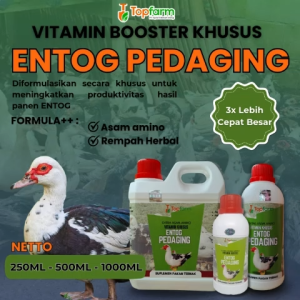 Vitamin Booster Penggemuk Entog: Meningkatkan Pertumbuhan dan Kualitas Daging Entog