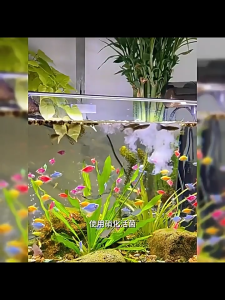 2500ml Nitrifying Bacteria จุลินทรีย์บำบัดน้ำสำหรับบ่อปลาสวยงาม ย่อยสลายของเสีย เครื่องกรองน้ำสำหรับถังปลาไนตริฟิเคชั่นแบคทีเรียยาปลาการเลี้ยงปลาการทำให้บริสุทธิ์คุณภาพน้ำ Stabilizer การย่อยสลายของมูลปลา