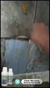 Pembersih Kamar Mandi  WC Kloset Duduk Jongkok Ampuh Atasi Kerak Membandel Menahun Etanox Store