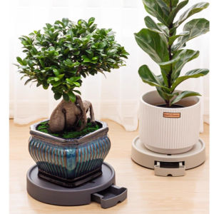 Flower Pot Holder with Wheels & Drain Tray Move Garden Plant Stand Plant PalletBig Loading Capacity