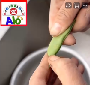 Combo 5 Dụng Cụ Bóc Rau Củ Quả Dụng Cụ Thu Hoạch Tách Vỏ Ngũ Cốc Găng Ngón Tay Ngắt Rau Củ