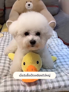 ตุ๊กตาสัตว์เป็ดขนนุ๊มนุ่ม สุนัข ทนต่อการกัด มีเสียง ของเล่นตุ๊กตาสุนัข ของเล่นสุนัข ของเล่นหมา ของเล่นตุ๊กตาสัตว์เลี้ยง