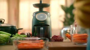 LIVEN Electric Food Processor Meat Grinder & Vegetable Chopper (G-69)