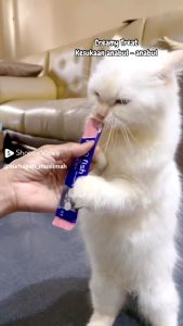 GPSS-ISHTAR CREAMY 15gr Snack Kucing Kitten Adult Snack Penggemuk Cemilan Penambah Nafsu Makan Cat