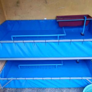 7x3x1feet azolla pond fish tank pvc type HIGH QUALITY WATERPROOF NO LEAK ALL SIDE pang umpisa na