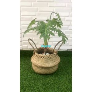 Pohon Artificial Tanaman Hias Daun Philo Jari X7 Latex Cover Pot Anyaman Purun Belly Pajangan Rumah Aesthetic