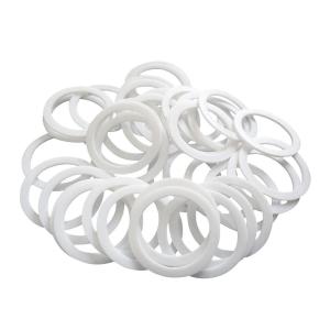 PTFE Gasket