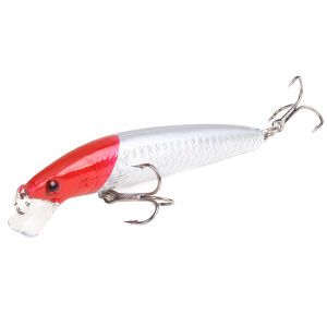 Long Tail Minnow Fishing Lure 10cm 9g Floating Hard Bait Artificial Wobbler Crankbait 3D Eye 10 Color Carp Perch Fishing Tackles