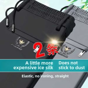 Export Cut Label Ice Silk Leisure Pants Mens Summer Thin Loose Straight Elastic Waist Stretch plus Size Exercise Pants