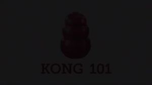 KONG Senior Dog Toy Gentle Natural Rubber Fun to Chew Chase and Fetch Purple