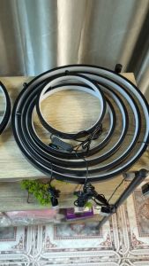 Vòng Đèn Hào Quang Dùng Trang Trí Tượng Phật Mèo Thần Tài Tiểu Cảnh