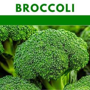 BROCCOLI repacked vegetable seeds
