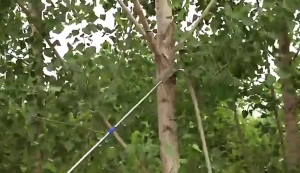 SANTINO 6M Telescopic High Pruning Branch Shears Saw Cutter Kelapa Fruit Picker Viral Galah Pengait Buah Moden Kait Bag