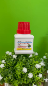 Thuốc trừ sâu Abinsec 1.8EC hiệu (Oxatir1 1.8ec) Đặc trị bọ trĩ sâu tơ