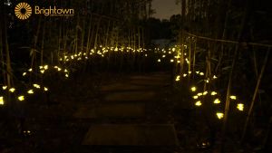 Solar Garden Light Solar Firefly Starburst Swing Light 2 Modes Solar Landscape Street Light Outdoor Waterproof Garden Garden Path Decoration Light (Bee)Add bee string light