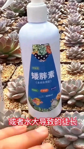 【Ready Stock】Dysplasia a general-purpose sprouting agent enhances color and promotes growth 多肉矮胖素