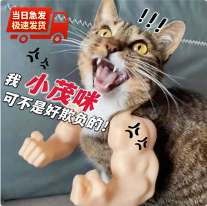 Creative Cat Muscle Arm Boxing Neck Hanging Dog Toy Green Giant Rock Cosplay Prank Toy for Pets Universal Normal Specification