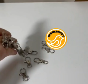 Bird Cage Lock Stainless Steel Bird Cage Locks for Pet Door Buckle Lock Bird accessories