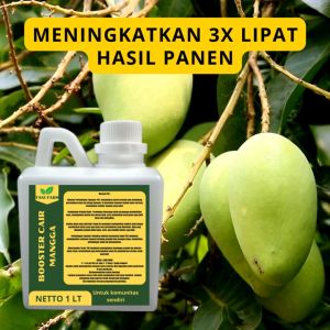 Pupuk Semprot Pelebat MANGGA: Pupuk Penyubur & Pelebat Buah