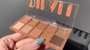 DKL-910 NEW 10 COLOR EYESHADOW