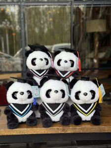 Graduation Season Panda Dolls Bachelors Robe Dolls Doctor Bear Dolls Plush Toys for Kindergarten And College Graduates