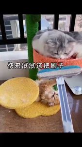 4IN1 Glass Mirror Cleaning Brush Windows Scrapper Sofa Fabric Mosquito Net Cleaning Brush Window Cleaner 去猫毛除毛神器刷