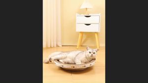 Round Ergonomic Corrugated Cat Scratcher Sofa Bed - Modern Wide Scratch Board for Cats Prevents Furniture Damage