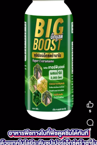 บิ๊กบูสต์ ซุปเปอร์เอ็กตร้านาโนสูตรเข้มข้น เร่งโตพืชผลทุกชนิด ขนาด500ซีซี ผสมน้ำได้2000ลิตร