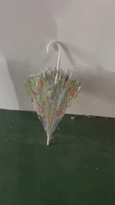 MOLORE | Automatic Opening Transparent Umbrella 21 inch