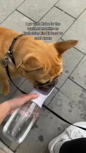 Pet Dispenser Water Drinker 15oz/450ml Wateners Large Capacity Dog Water Bottle Bowls Leak Proof Portable Dispenser for Dogs Outdoor Travel Accessories Pet Bowl