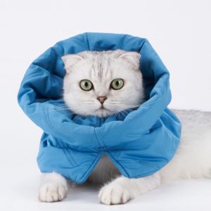 PETSALUMNI ปลอกคอกันเลียทรงสูง คอลล่ากันเลียแมว ป้องกันการเลียคอ ไถคอ ปลอกคอกันเลียสุนัข นิ่ม กันน้ำ พับได้ พกพาสะดวก พร้อมส่ง