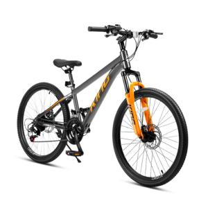 Royalbaby |Shock Absorption Variable Speed Mountain Bike Youth